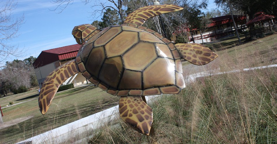 Sea Turtle Public Art