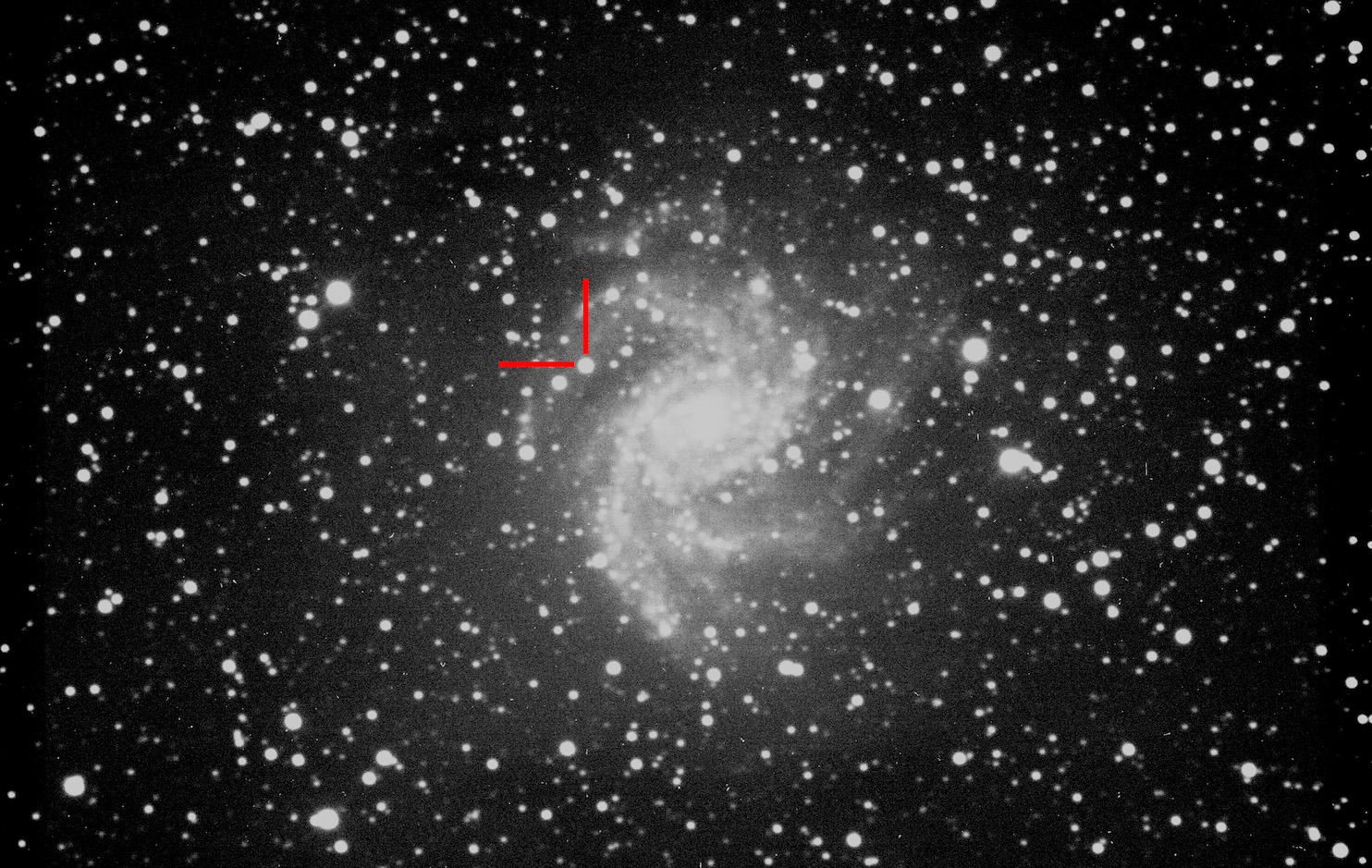 Supernova in Fireworks Galaxy